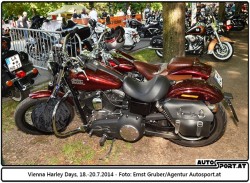 140718 Harley EG 4202