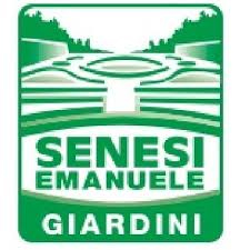 Senesi Emanuele Giardini Logo