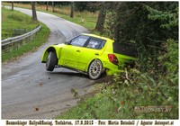 Baumschlager Rallye & Racing Tests, Litschau 2013