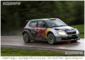 Arbö Rallye 2013