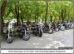 140718 Harley EG 3896