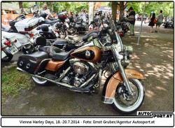 140718 Harley EG 3901