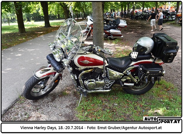 140718 Harley EG 3924