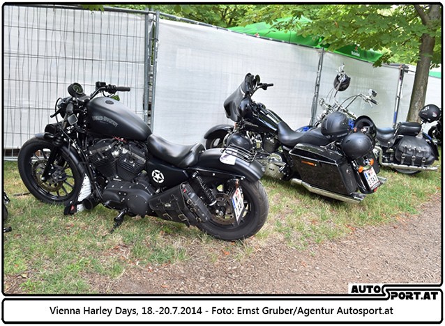 140718 Harley EG 4059