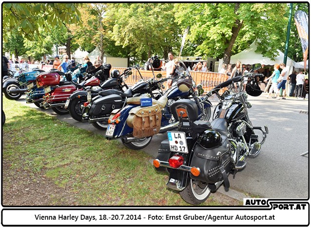 140718 Harley EG 4084