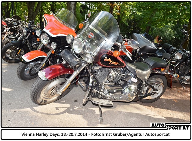 140718 Harley EG 4109