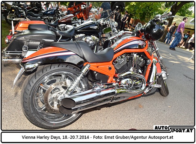 140718 Harley EG 4210