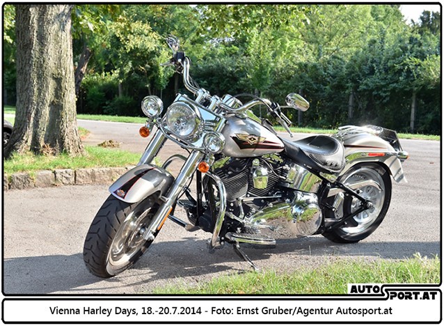 140718 Harley EG 4215